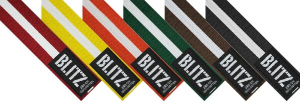 1622faf6 stripe belts