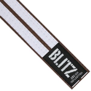 1ff5db63 colour belt double stripe brown white