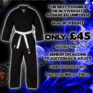 4bb1ec63 karate uniform 2 scaled 1 scaled 1