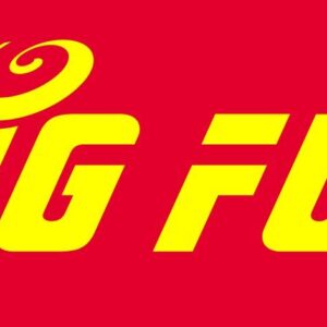 cropped Big Fun logo